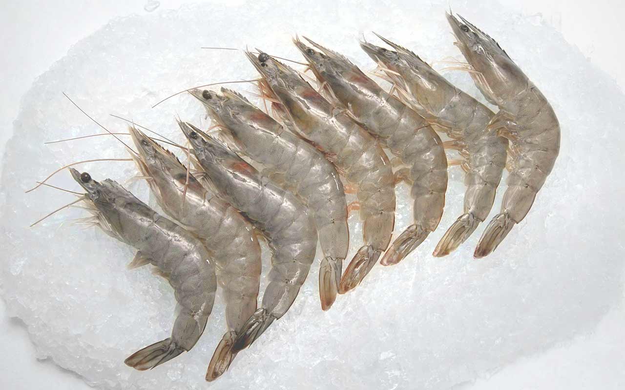 Frozen Vannamei Shrimp